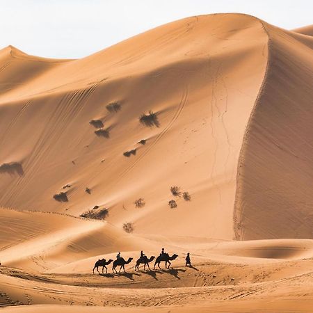 Hotel Sahara camel trek camp Merzouga Exterior foto