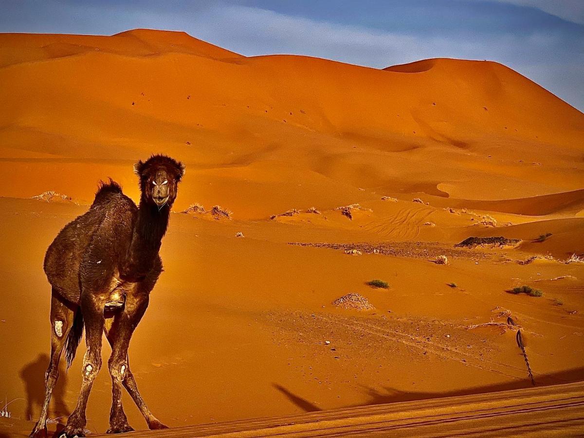 Hotel Sahara camel trek camp Merzouga Exterior foto