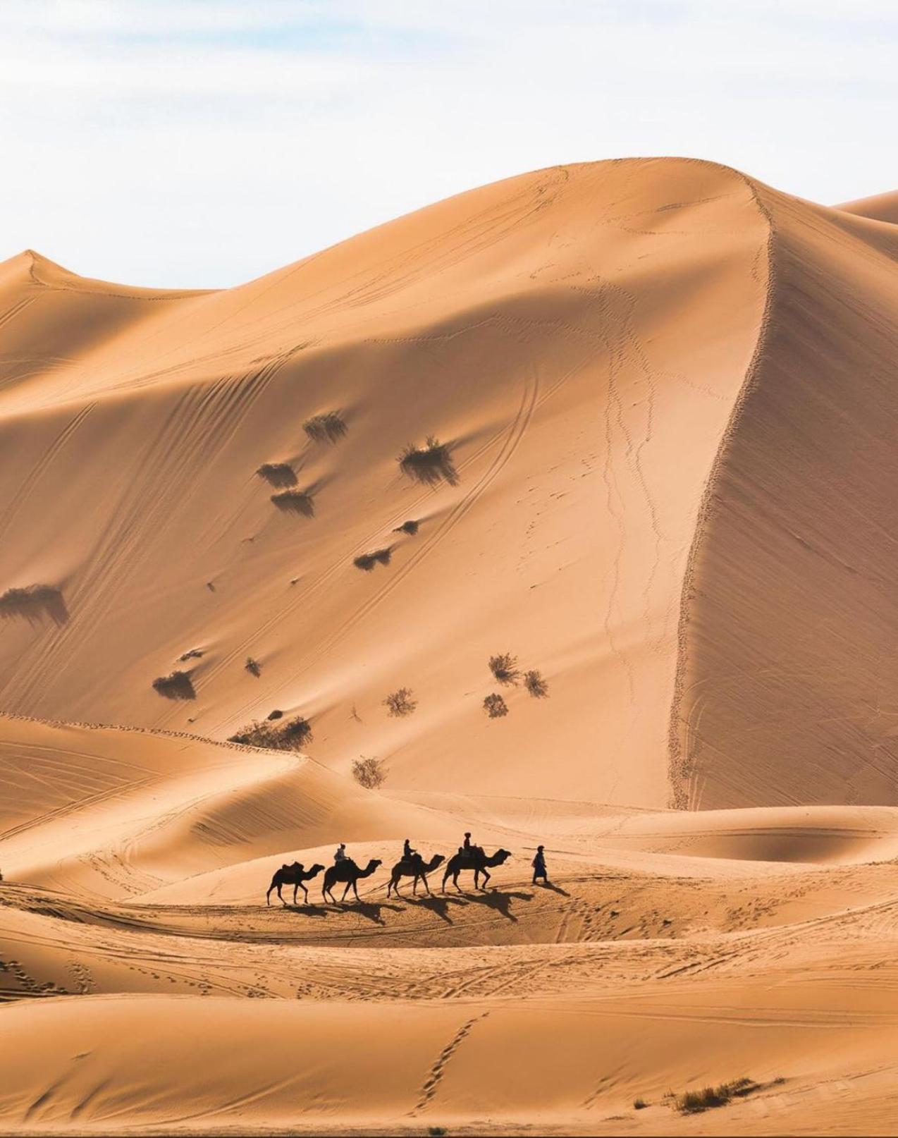 Hotel Sahara camel trek camp Merzouga Exterior foto